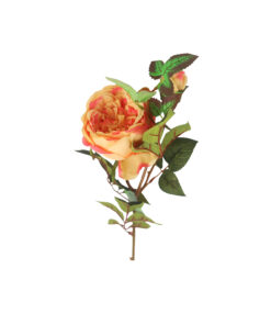 Alternative view of Orange Rose Bud 2 Head 66cm