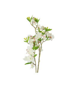 Alternative view of White Single Cherry Blossom 85cm