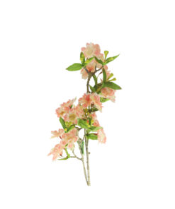 Alternative view of Peach Single Cherry Blossom 85cm