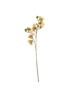 Peach Single Cherry Blossom 85cm