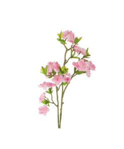 Alternative view of Pink Single Cherry Blossom 85cm