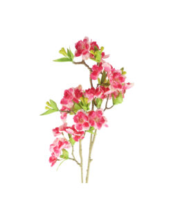 Alternative view of Hot Pink Single Cherry Blossom 85cm