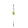 Light Pink Delphinium Stems 31 Flowers 105cm