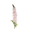 Light Pink Delphinium Stems 31 Flowers 105cm
