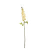 Champagne Delphinium Flower 31 Stems 105cm