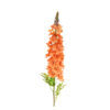 Orange Delphinium Stems 31 Flowers 105cm