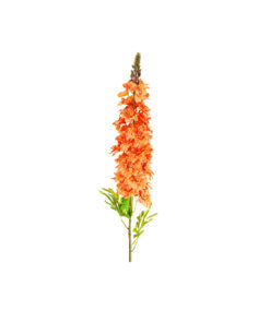 Alternative view of Orange Delphinium Flower Stem 105cm