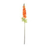 Orange Delphinium Flower Stem 105cm
