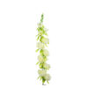 White Gladiolus Bush Flower 7 Head 77cm