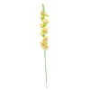 Pastel Yellow Gladiolus Bush Flower 7 Head 77cm