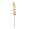 Peach Gladiolus Bush Flowers 7 Head 77cm