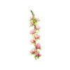 Peach Gladiolus Bush Flowers 7 Head 77cm