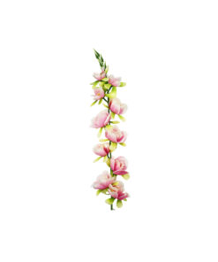 Peach Gladiolus Bush Flowers 7 Head 77cm