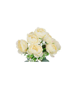 Alternative view of Cream Peony Rose Bush 9 Head 40cm