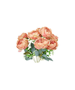 Alternative view of Light Salmon Peony Rose Bush 9 Head 40cm