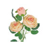 Champagne Rose Flower With 3 Heads 58cm