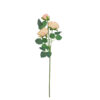 Champagne Rose Flower With 3 Heads 58cm