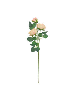 Champagne Rose Flower With 3 Heads 58cm
