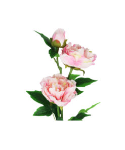 Pink Large Peony Bush With 3 Heads 82cm