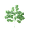 Dark Green Oak Leaves Branch 78cm