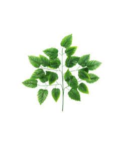 Yellow Green Mulberry Leaves 5 Branch 70cm