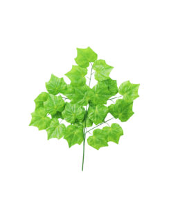Light Green Grape Leaves 5 Branch 74cm