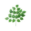 Green Leave Branch 78cm