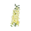 Cream Delbine Flower Single 80cm