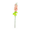 Peach Delphinium Flower Stem 80cm