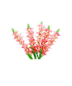 Alternative view of Light Pink Orchid Flower Stem 67cm