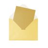 Gold Pearlised Cards & Envelopes Set 12pc