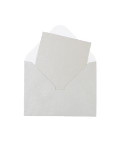 Silver Pearlised Cards & Envelopes Set 12pc