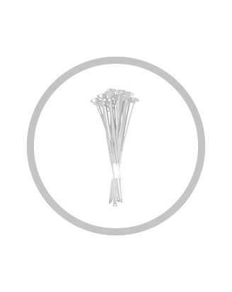 Balloon Sticks