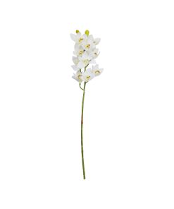 White Orchid With Yellow Stamen 71cm