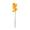 Orange Orchid With Pink Stamen 71cm