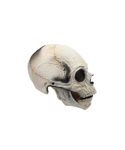 Mouth Moving Skull Mask