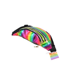 Rainbow Waist bag