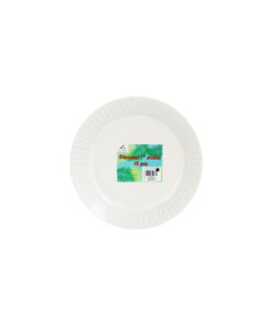 Dinosaur Paper Plates 7in x 12pc