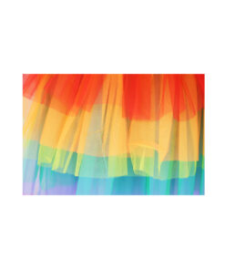 Rainbow Tutu Skirt