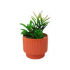Artificial Succulent with Ceramic Pot 10 x 10 x 17cm