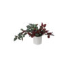Red Leaf Artificial Zebrina with Ceramic Pot 9 x 9 x 40cm