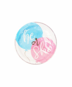 Boy or Girl Paper Plates 9in 16pcs