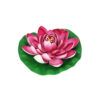 Pink Floating Water Lily 18cm