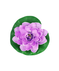Purple Floating Water Lily 18cm