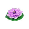 Purple Floating Water Lily 18cm
