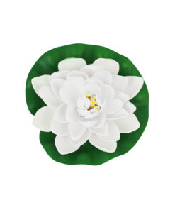 White Floating Water Lily 18cm