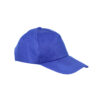 Blue Snapback Cap For Adult