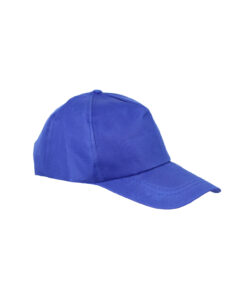 Blue Snapback Cap For Adult