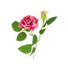 Pink Artificial Rose 2 Head 46cm