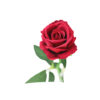 Dark Red Artificial Velvet Rose 1 Head 51cm